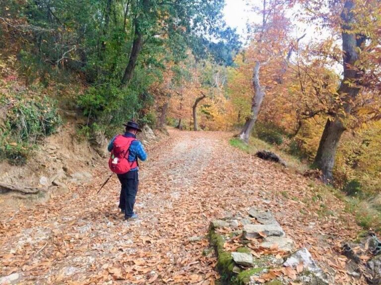 “Adotta un passo del Cammino d’Etruria Centro”, crowdfunding per unire 15 comuni da Volterra a Chiusi in un percorso lento