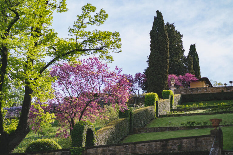Torna Passeggiate Fiorentine, 200 visite guidate gratuite a musei e giardini storici