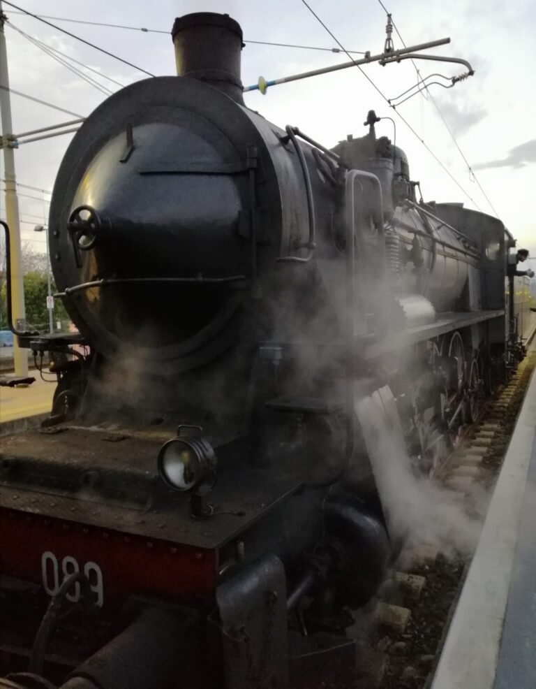 Treno del Sale, viaggio da tutto esaurito a bordo della locomotiva “Regina”