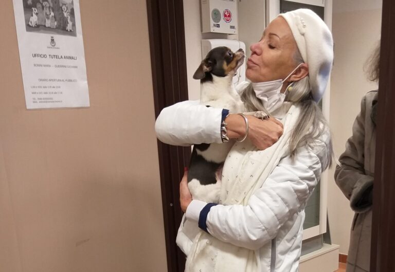 Il Comune di Livorno posta foto sui social e il cane Chips ritrova la sua padrona