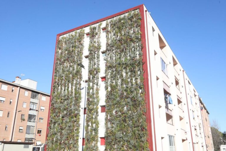 Pareti verdi in città, arrivano quattro nuovi giardini verticali nelle scuole
