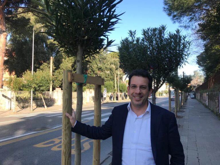 A Pisa olivi gratis a cittadini e imprese per la difesa del clima