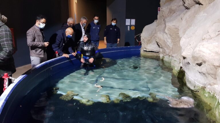 Reti in bioplastica biodegradabili in mare per la crescita della posidonia, al via il test a Livorno