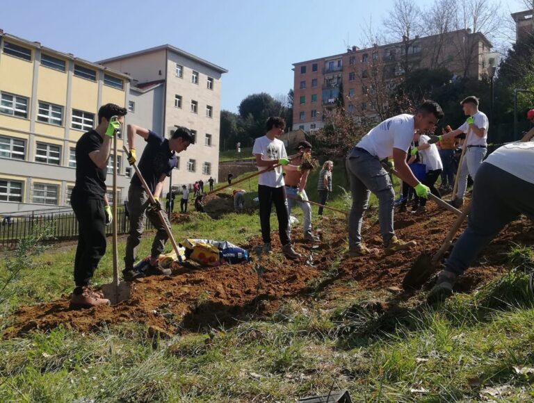 Gli studenti piantano 60 alberi nel giardino della scuola e calcolano la Co2 assorbita