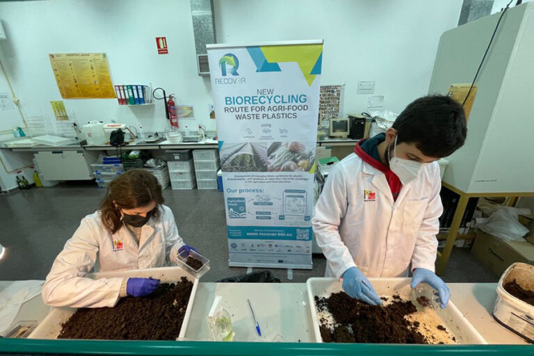 La plastica nel menù degli insetti: uno studio per il compostaggio del futuro