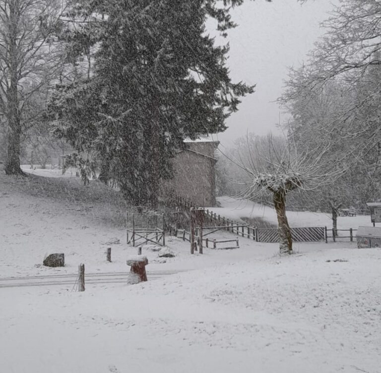 Tormenta di neve lungo il passo della Consuma