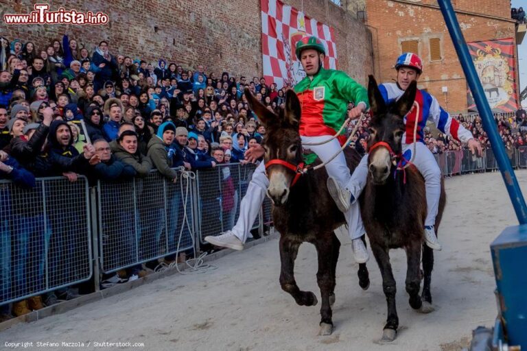 Polemica sessista investe il Palio dei somari: il sindaco Grazi sotto tiro, ma lui ribatte: “Sarò io a denunciare”