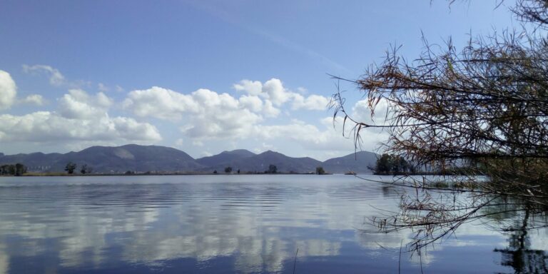 Massaciuccoli, c’è preoccupazione per il calo delle acque del lago: dal 2017 mai così basso
