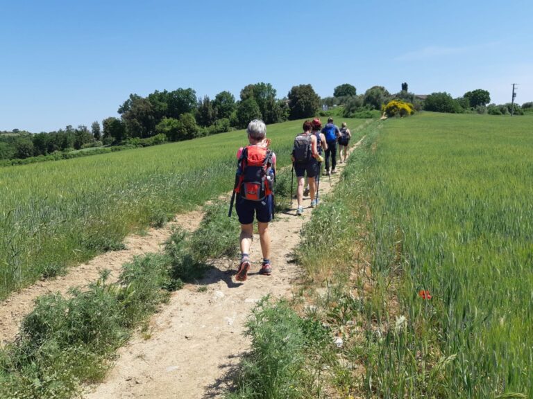Da Volterra a Chiusi, i 220 km del Cammino d’Etruria Centro