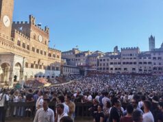 Palio di Siena, l’ordine d’ingresso ai canapi per le prove e le accoppiate