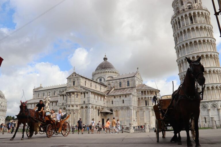 Troppo caldo. A Pisa scatta il divieto carrozze trainate da cavalli nelle ore più calde. Fino al 15 settembre
