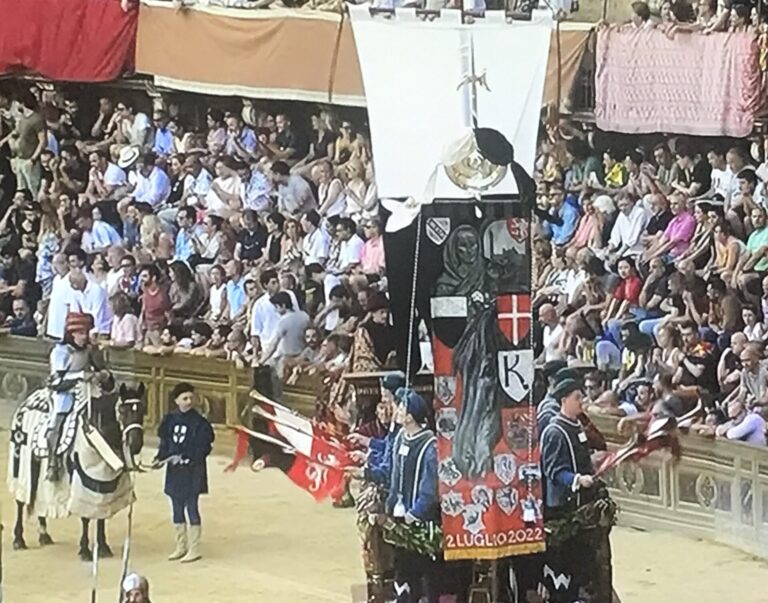 Ancora un attacco al Palio, Italian horse protection: “Spettacolo indecoroso”