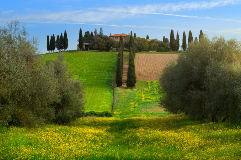 Ciak in Val d’Orcia per Clooney e Sandler diretti da Baumbach