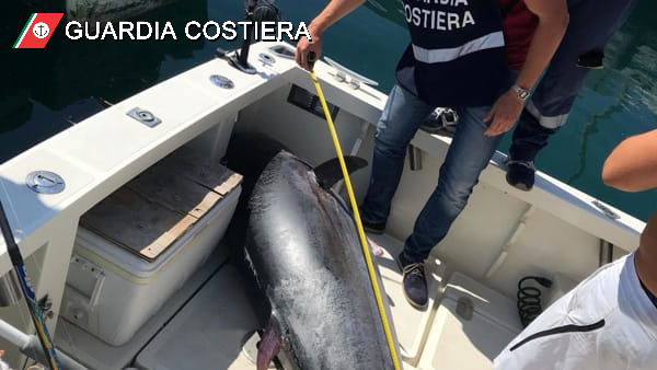 Stop alle catture del tonno rosso durante l’attività di pesca sportiva e ricreativa