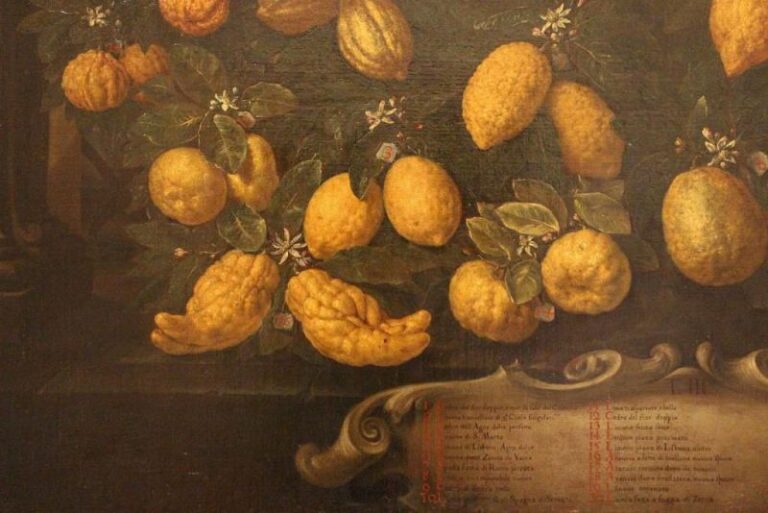 Più giorni d’apertura per i musei toscani. I nuovi orari