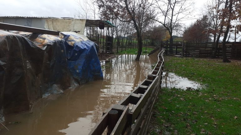 Maltempo a Pistoia, Cia Toscana Centro: Danni per ortaggi e florovivaismo