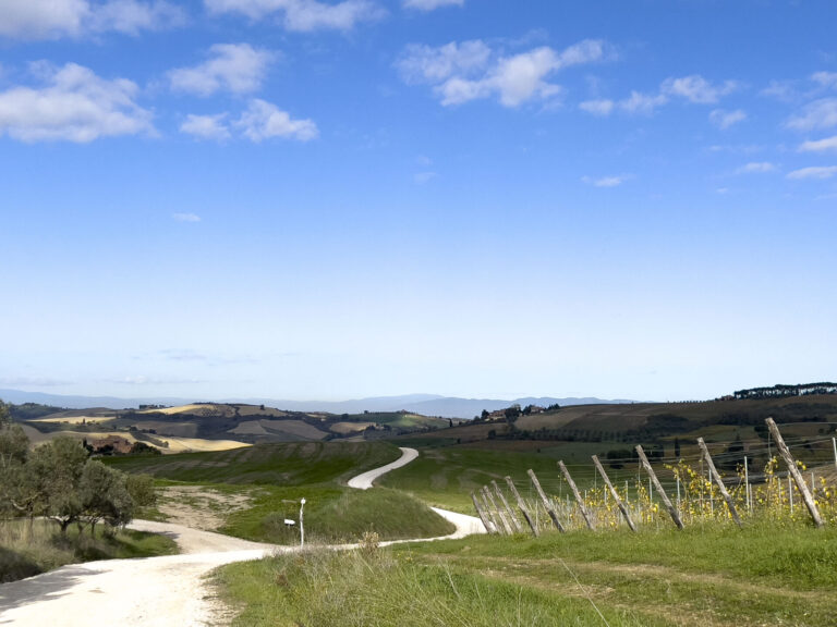 Nasce Montepulciano Active, la rete escursionistica immersa nel Paesaggio Rurale Storico poliziano. Dieci itinerari inediti per 100 km di percorsi