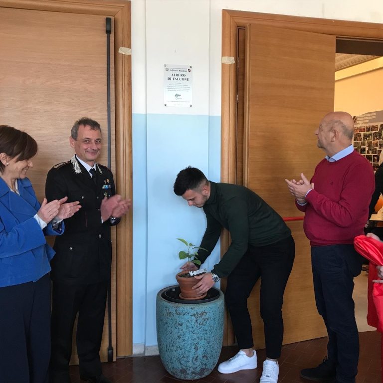 L’albero di Falcone, il ficus, simbolo della legalità messo a dimora al Bandini di Siena