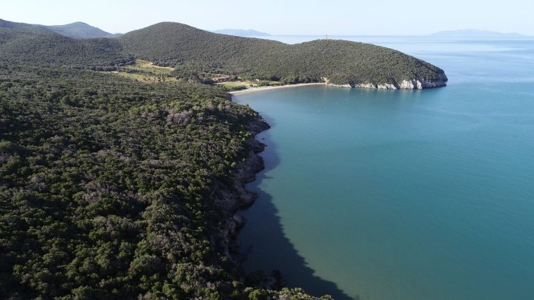 La Maremma è il sesto distretto biologico della Toscana, Saccardi: “Il 35% del territorio regionale ha questa vocazione”