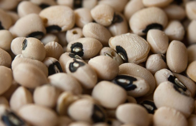 Agrobiodiversità. Salve dall’estinzione quattro varietà di vecchie sementi