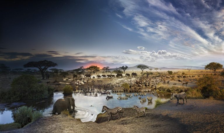 Explore – Pianeta Terra. Nuova mostra firmata National Geographic a Palazzo Blu