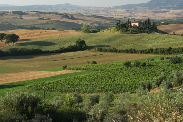 Orcia Wine Festival. Dal 22 al 25 aprile appuntamento con la mostra mercato del vino Orcia Doc