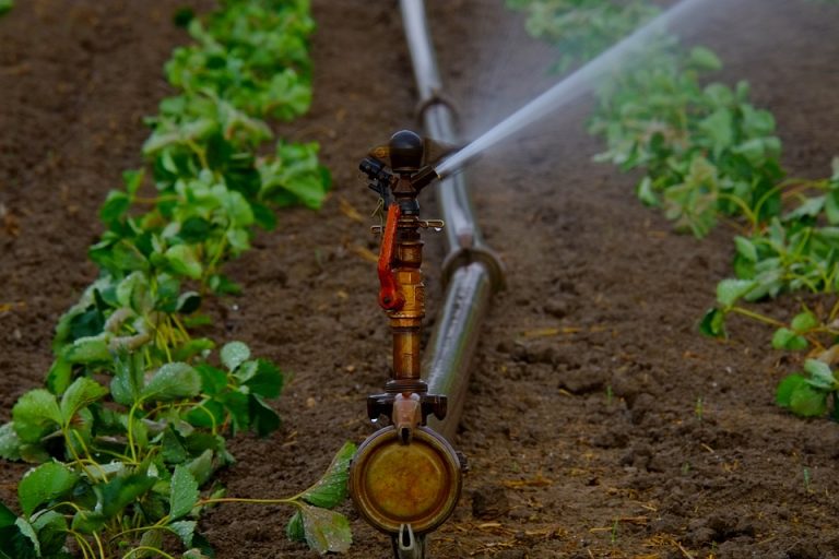 Emergenza acqua, solo il 9% dell’agricoltura toscana è irrigata
