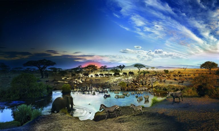 Explore: Pianeta Terra. A Palazzo Blu incontro con il fotografo Stephen Wilkes di National Geographic