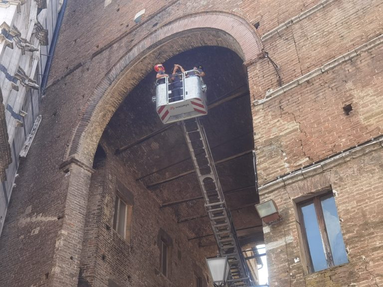 Terremoto, dopo i controlli riaprono i musei di Siena
