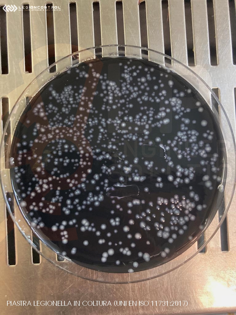 Da Certaldo soluzioni per il recupero del calore dagli scarichi e la legionella