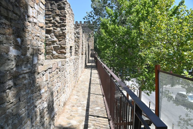 Torre della Zecca, apertura il 1 agosto: Firenze un museo a cielo aperto