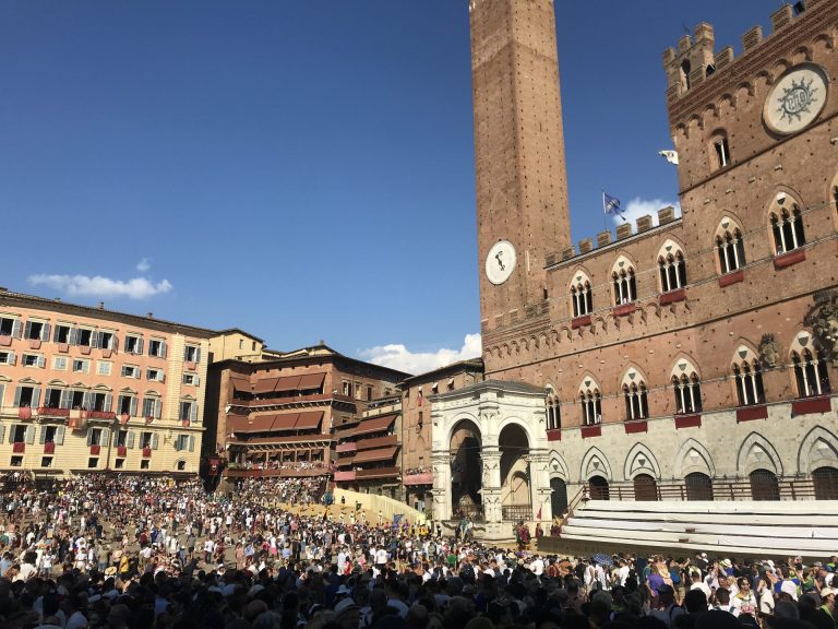 Palio, i cavalli di Giraffa e Istrice in clinica veterinaria. Aidaa: denuncia per maltrattamenti
