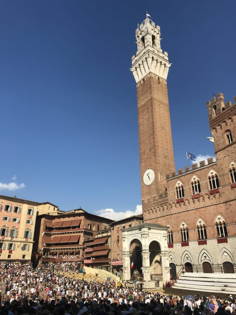 Palio, il Comune rassicura: perfettamente riusciti gli interventi sui cavalli di Giraffa e Istrice