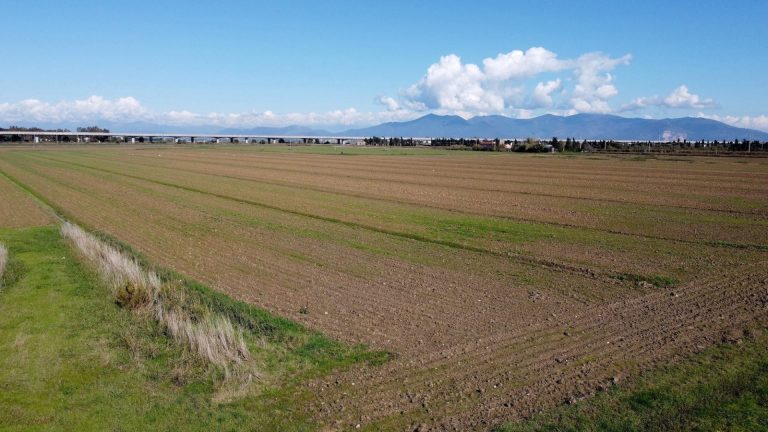 Energia solare per oltre 6mila famiglie. Un nuovo parco fotovoltaico in Toscana