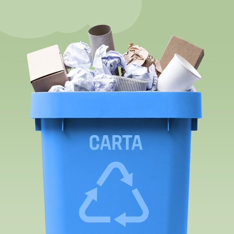 Differenziata della carta in aumento del 2,5%: Toscana tra le più virtuose