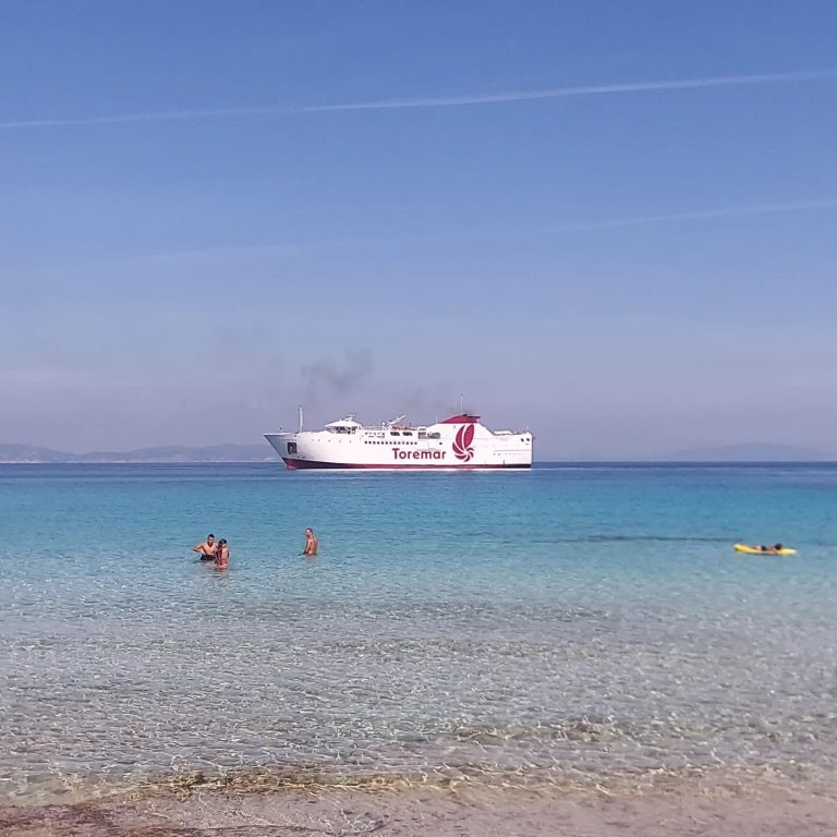 Nel 2024 il bando per il collegamento con le isole dell’arcipelago: Baccelli fa il punto su Toremar