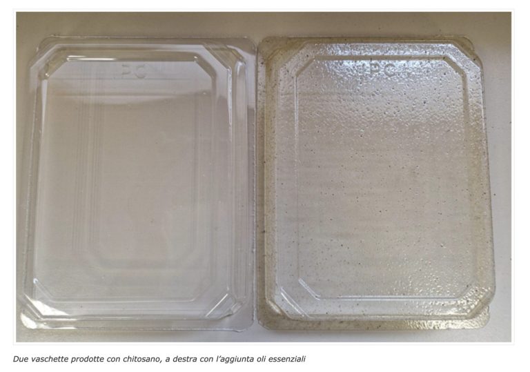 Meno plastica nelle confezioni: l’innovazione dell’Università di Pisa