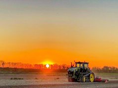 L’aumento dei prezzi sostiene l’agricoltura toscana: preoccupa però il calo della produzione di vino