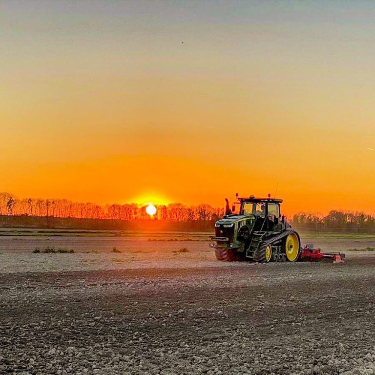 Click day per braccianti agricoli e stagionali del turismo. Via alle richieste ma “mancano 100mila lavoratori”