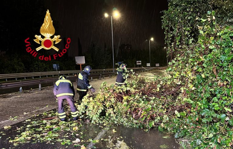 Tromba d’aria in Versilia scoperchia i tetti. Alberi caduti a Firenze e allagamenti