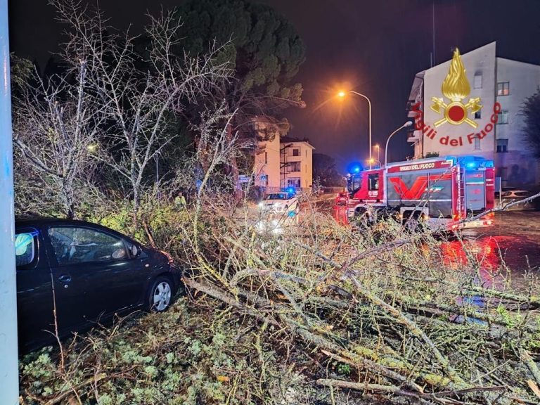Maltempo, oltre 100 gli interventi dei vigili del fuoco nell’Aretino: i danni causati da raffiche di vento