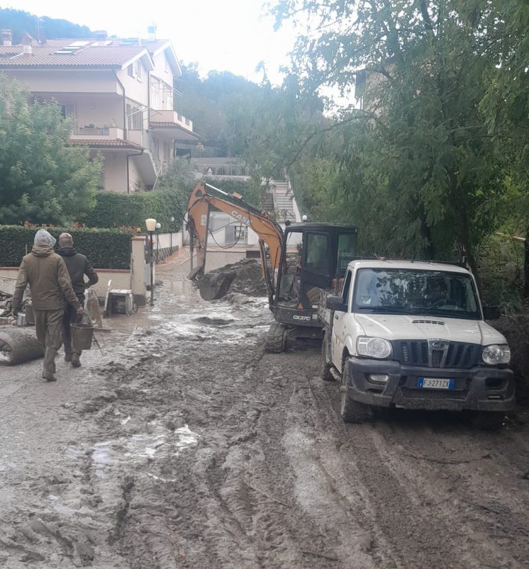 Maltempo in Toscana. Boscaioli pratesi in prima linea: con escavatori e trattori tagliano alberi per liberare le strade e tolgono il fango dalle case
