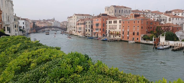 I licheni sentinelle delle opere d’arte della Collezione Guggenheim: l’Università di Siena protagonista di un progetto innovativo