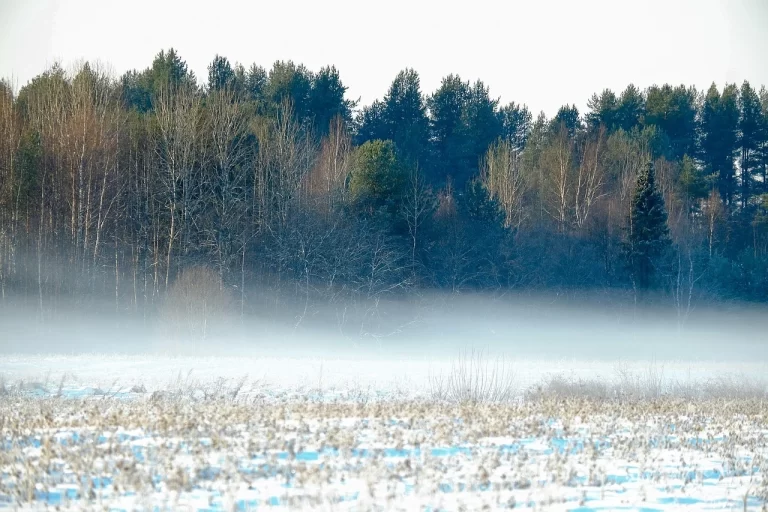 Toscana nella morsa del freddo il 22 gennaio, poi torna il caldo