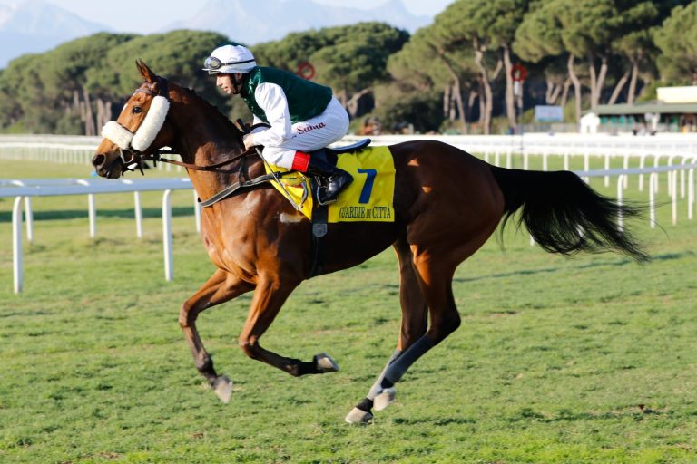 Grave fantino caduto a San Rossore: ricoverato in prognosi riservata