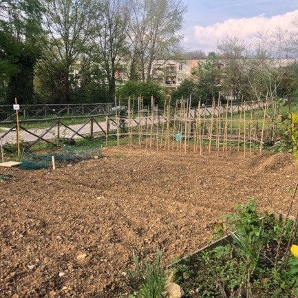Firenze, in arrivo i primi cinque orti urbani: l’assegnazione a maggio
