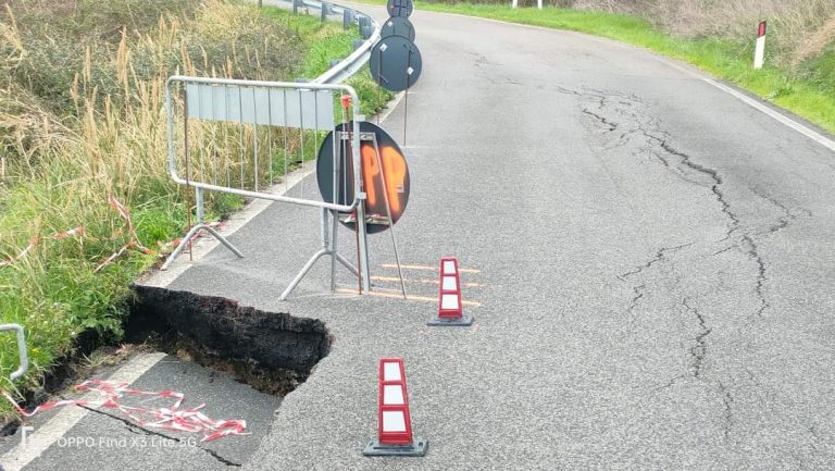 Frana sulla Sp 16 del Monte Volterrano. Il ‘re’ del pecorino delle Balze: 25 posti di lavoro a rischio. Istituzioni cercasi