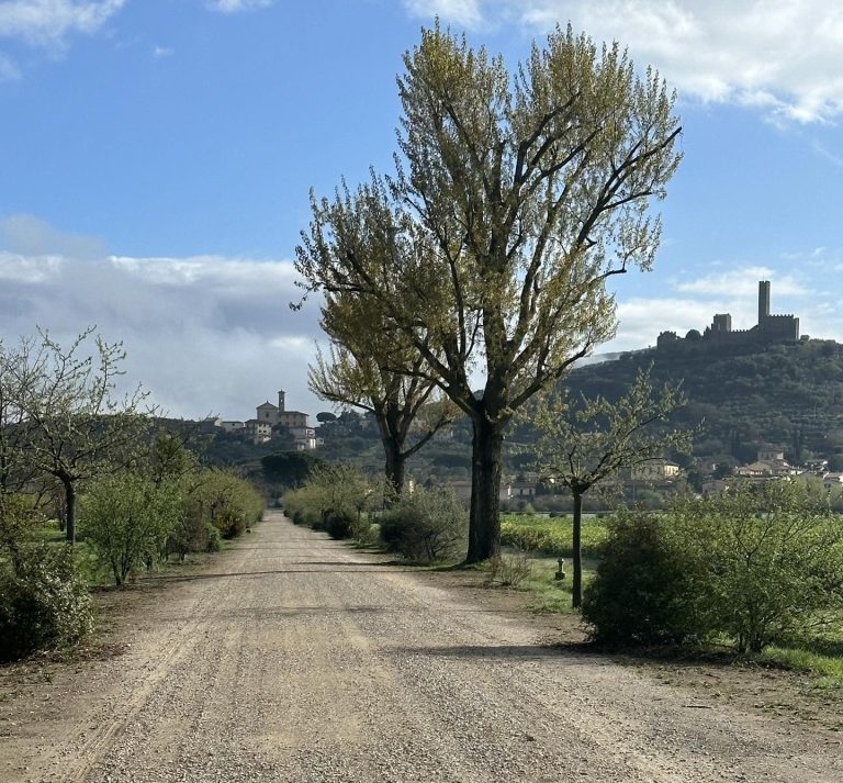 Valdichiana, intitolata strada al granduca Pietro Leopoldo: fu l’artefice della bonifica dell’area