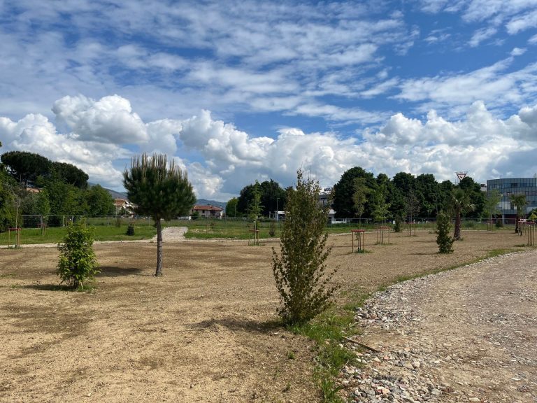 A Prato nasce il bosco delle Neofite. La “Città del futuro” di Arte Continua con Stefano Mancuso