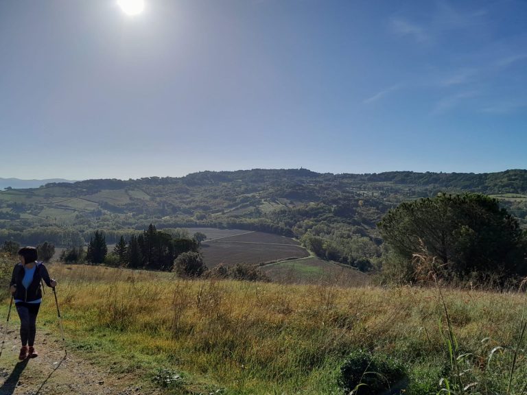 Il comune di Riparbella dice no al parco eolico: il piano è in Regione